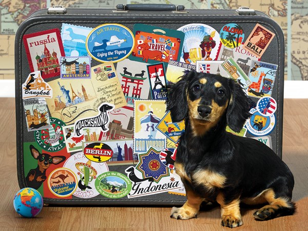 Cobble Hill (52107) - "Dachshund 'Round the World" - 500 piezas