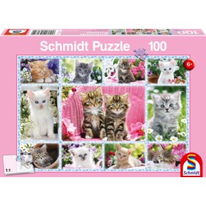 Schmidt Spiele (56135) - "Kittens" - 100 piezas