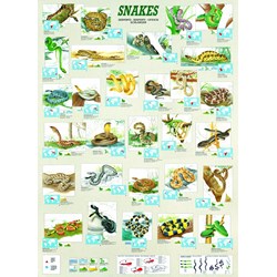 Eurographics (6000-2610) - "Snakes" - 1000 piezas