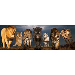 Eurographics (6010-0297) - "Big Cats" - 1000 piezas