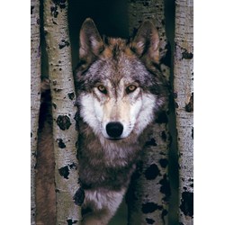Eurographics (6000-1244) - "Gray Wolf" - 1000 piezas