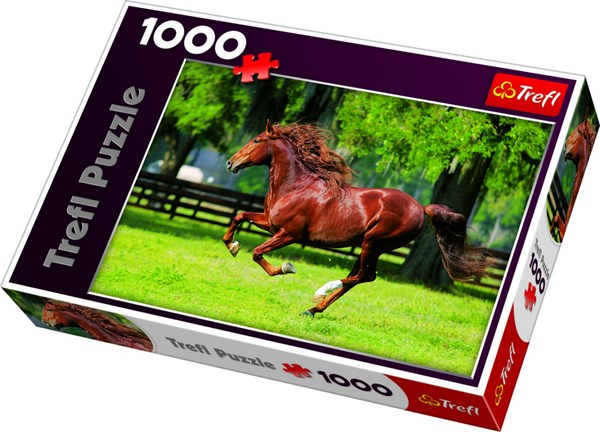Trefl (10201) - "In The Gallop" - 1000 piezas