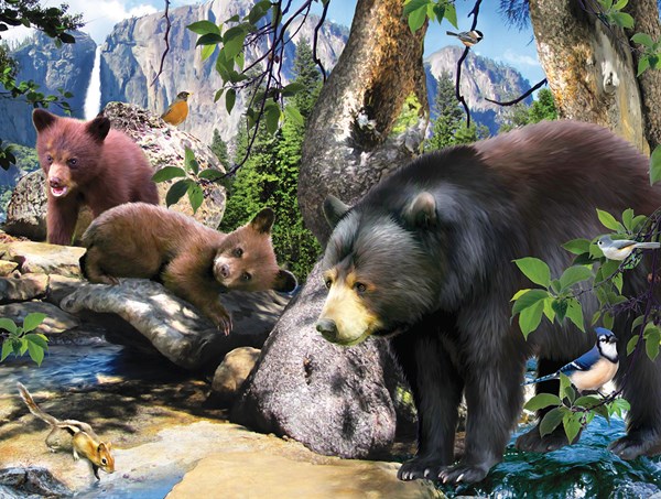 SunsOut (59305) - "Four Black Bears" - 300 piezas