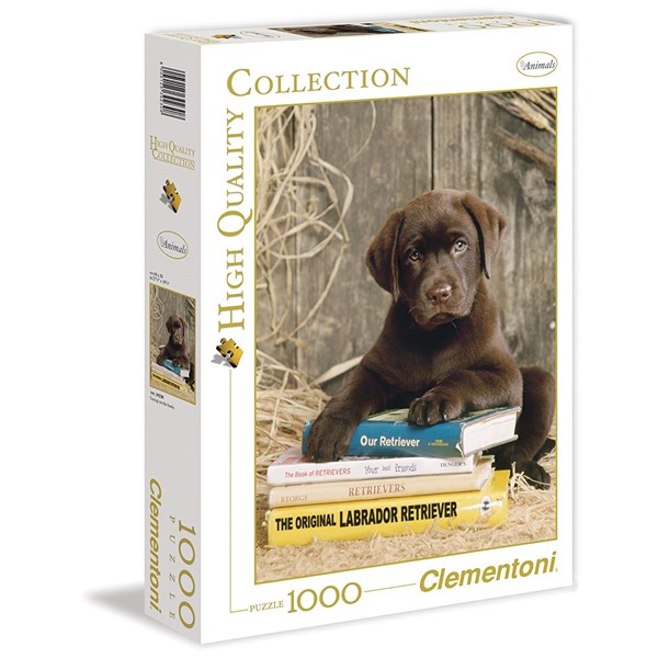 Clementoni (39230) - "Laying on the Books" - 1000 piezas