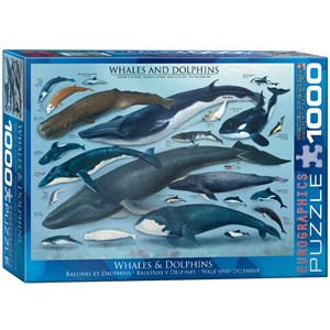 Eurographics (6000-0082) - "Whales & Dolphins" - 1000 piezas