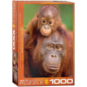 Eurographics (6000-0638) - "Orangutan & Baby" - 1000 piezas