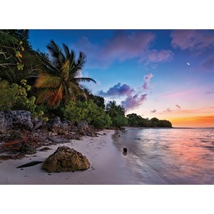 Clementoni (39337) - "Tropical Idyll" - 1000 piezas