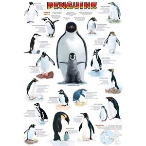 Eurographics (6100-0044) - "Penguins" - 100 piezas