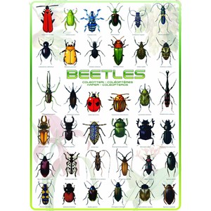 Eurographics (6000-0081) - "Beetles" - 1000 piezas