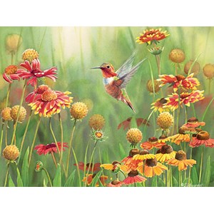 Cobble Hill (52078) - "Rufous Hummingbird" - 500 piezas