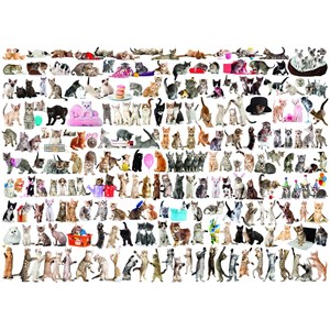 Eurographics (6000-0580) - "The World of Cats" - 1000 piezas