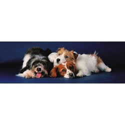 Eurographics (6005-4491) - "Dogs" - 750 piezas