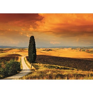 Jumbo (18362) - "Tuscan Sunset" - 1000 piezas
