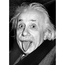 Eurographics (6000-1324) - "Einstein's Tongue" - 1000 piezas