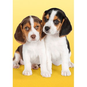 Clementoni (30356) - "Nice Beagles" - 500 piezas