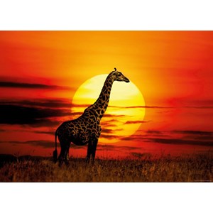 Heye (29688) - "Sunny Giraffe" - 1000 piezas