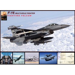 Eurographics (6000-4956) - "F-16 Fighting Falcon" - 1000 piezas