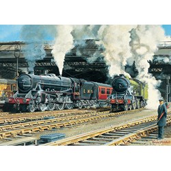 Falcon (11120) - Trevor Mitchell: "Full Steam Ahead" - 500 piezas