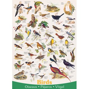 Eurographics (6000-1259) - "Birds" - 1000 piezas