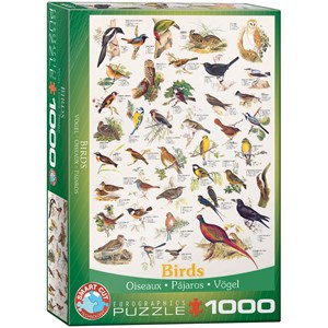 Eurographics (6000-1259) - "Birds" - 1000 piezas