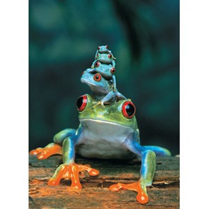Eurographics (6000-3004) - "Red-Eyed Tree Frog" - 1000 piezas