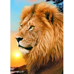 Trefl (371918) - "Lion" - 500 piezas
