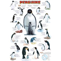 Eurographics (6000-0044) - "Penguins" - 1000 piezas