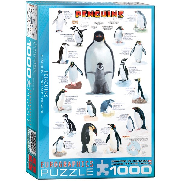 Eurographics (6000-0044) - "Penguins" - 1000 piezas