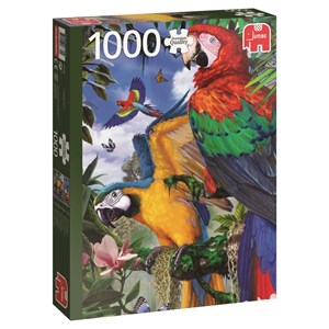 Jumbo (18330) - "Pretty Parrots" - 1000 piezas