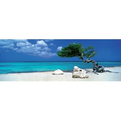 Heye (29399) - Alexander von Humboldt: "Divi Divi Tree" - 1000 piezas