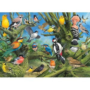 Eurographics (6000-0967) - John Francis: "Garden Birds" - 1000 piezas