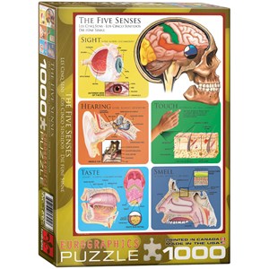Eurographics (6000-0305) - "The Five Senses" - 1000 piezas