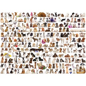 Eurographics (6000-0581) - "The World of Dogs" - 1000 piezas