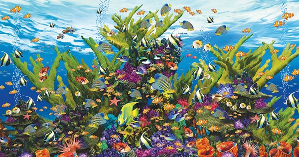 SunsOut (80141) - John Enright: "Aquarium of the Sea" - 500 piezas