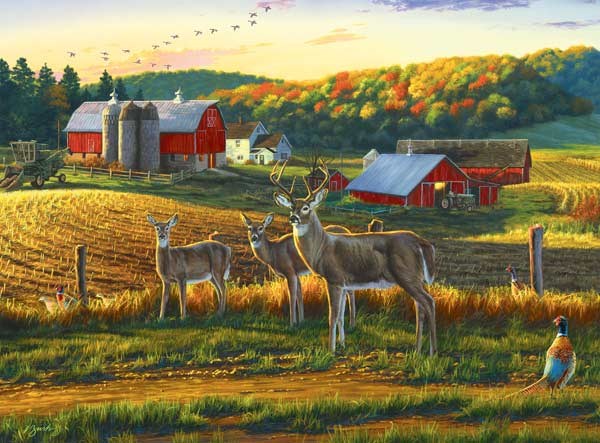 Buffalo Games (11238) - Darrell Bush: "Harvest Time" - 1000 piezas