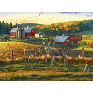 Buffalo Games (11238) - Darrell Bush: "Harvest Time" - 1000 piezas