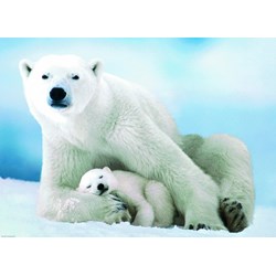 Eurographics (6000-1198) - "Polar Bear and Baby" - 1000 piezas