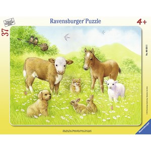 Ravensburger (06631) - "In the Pasture" - 37 piezas