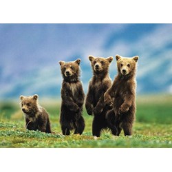 Eurographics (8300-0531) - "Bear Cubs Standing" - 300 piezas