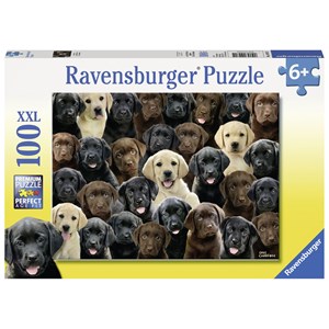 Ravensburger (10971) - Greg Cuddiford: "Labradors" - 100 piezas