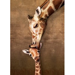Eurographics (8500-0301) - "Giraffe Mother's Kiss" - 500 piezas