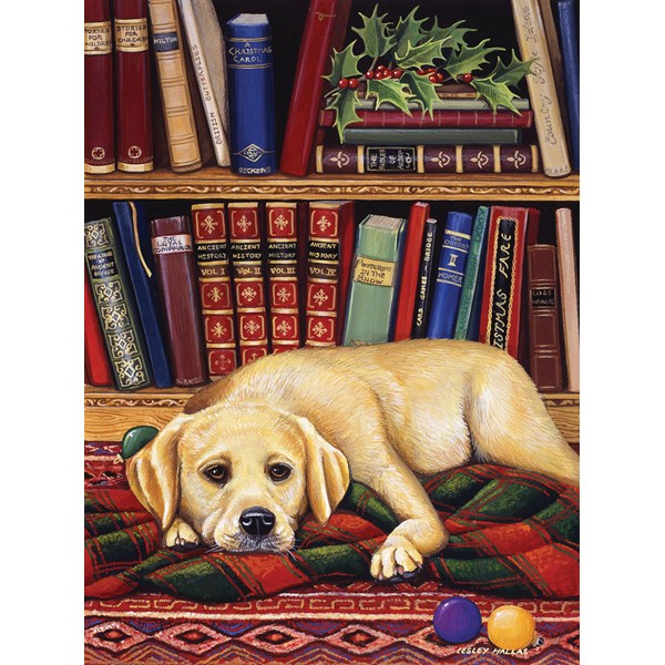 SunsOut (51731) - "Read to Me" - 1000 piezas