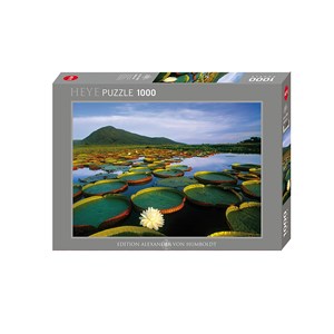Heye (29593) - Alexander von Humboldt: "Victoria Lily" - 1000 piezas