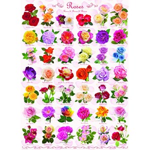 Eurographics (6000-0593) - "Roses" - 1000 piezas