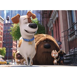 Ravensburger (10874) - "Secret Life of Pets" - 100 piezas