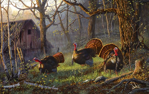 SunsOut (71075) - Terry Doughty: "Kings of the Hill" - 550 piezas