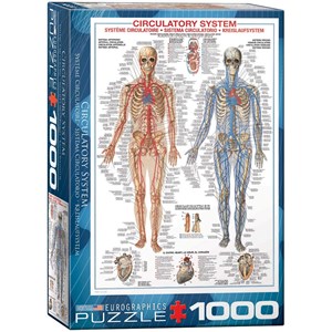 Eurographics (6000-4940) - "Circulatory System" - 1000 piezas