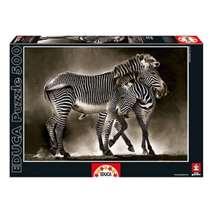 Educa (16359) - "Zebras" - 500 piezas