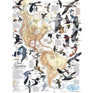 New York Puzzle Co (NPZNG1715) - "Bird Migration" - 1000 piezas