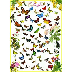 Eurographics (6000-0077) - "Butterflies" - 1000 piezas